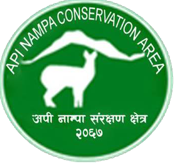 apinampa-logo